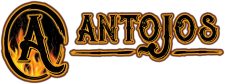 Antojos Mexican Grill